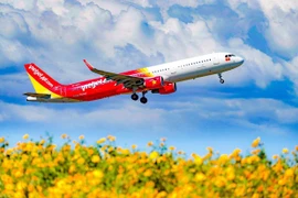 Самолет Vietjet Air (Фото: VietJet Air)