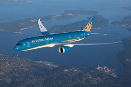 Самолет Vietnam Airlines (Источник: ВИА)