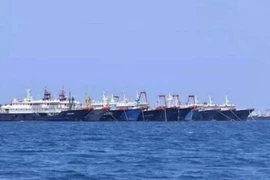 Действия китайских кораблей в территориальных водах острова Синьтондонг в Спратли нарушают суверенитет Вьетнама (Источник: AP)