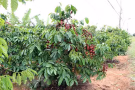 Иллюстративное изображение (Фото: ВИА) 