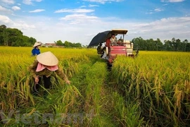 Фото для иллюстрации. (ВИА)