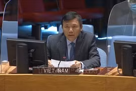 Посол Данг Динь Куи, глава постоянного представительства Вьетнама при ООН (Фото: ВИА)