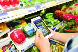 Поддержка реализации сельскохозяйственной продукции на платформах электронной коммерции. (Фото: ВИА)