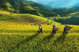 Горные районы. (Фото: baochinhphu.vn)