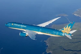 Самолет Vietnam Airlines (Фото: Vietnam Airlines) 