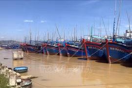 Иллюстративное фото. (Источник: ВИА)