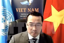 Посол Фам Хай Ань, заместитель главы вьетнамской миссии при ООН (Фото: ВИА)