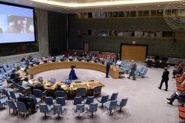 Рабочее заседание СБ ООН (Фото: ВИА)