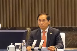 Министр иностранных дел Вьетнама Буй Тхань Шон (Фото: ВИА)
