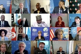 Обсуждение прошло онлайн 29 марта (Фото: ВИА)