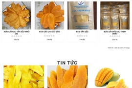 Продукция компании Loc Thinh Phat представлена на locthinhphat.vn (Скриншот) 