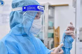 Фото для иллюстрации. (Источник: baochinhphu.vn)