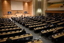 Совет ООН по правам человека начинает свою 47-ю сессию. (Фото: ВИА)