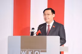  Председатель НС Выонг Динь Хюэ выступает на вьетнамско-австрийском бизнес-форуме (Фото: ВИА)