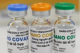 Вакцина Nano Covax, скорее всего, получит регистрационное удостоверение для условного обращения (Фото: Минздрав).