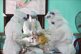Медицинские работники берут образцы, взятые для тестирования на COVID-19 в провинции Бакжанг (Фото: ВИА)
