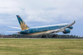 Самолет Vietnam Airlines.