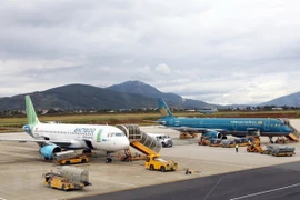 Vietnam Airlines и Bamboo Airways хорошо подготовлены к перевозке вакцин против COVID-19 для предотвращения пандемии. (Фото: ВИА)