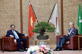 Премьер-министр Фам Минь Тьинь встречается с г-ном Фукуда Томиказу, губернатором провинции Тотиги. (Фото: ВИА)