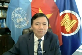 Посол Данг Динь Куи, глава постоянного представительства Вьетнама при ООН (Фото: ВИА)