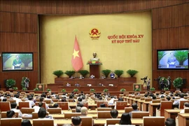 Выступил заместитель председателя Национального собрания Чан Куанг Фыонг. (Фото: Зоан Тан/ВИА)