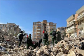 По состоянию на 19:00 16 февраля в Турции зарегистрировано 36.187 погибших и 108.061 раненых в результате сильного землетрясения и его подземных толчков. (Фото: ВИА)