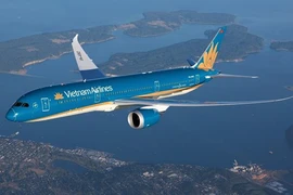 Иллюстративное изображение (Фото: Vietnam Airlines) 