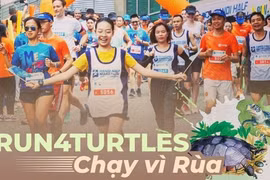 Афиша забега "#Run4Turtles 2023", который должен состояться в Ханое 3 декабря.