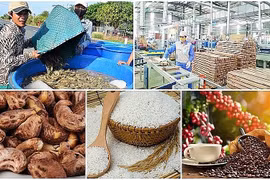 Фото для иллюстрации. (Источник: congthuong.vn)