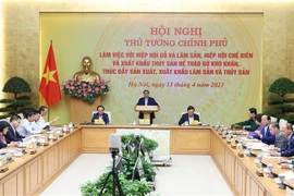 Совещание открыл премьер-министр Фам Минь Тьинь. (Фото: ВИА)