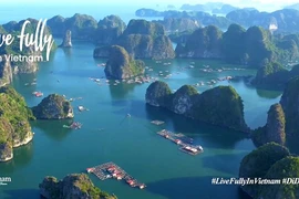 Веб-сайт Национальной администрации туризма Вьетнама (VNAT) Vietnam.travel продолжает набирать популярность, занимая 128.229-е место в рейтинге мирового веб-трафика (фото: ВИА)