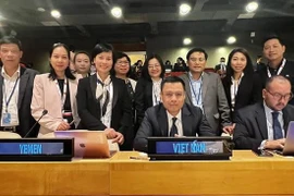 В конференции приняла участие вьетнамская междисциплинарная делегация. (Фото: ВИА)