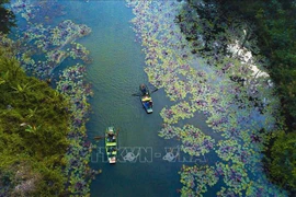Ниньбинь - привлекательная земля для туристов. (Фото: ВИА)