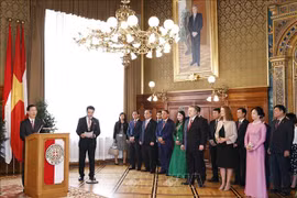 Президент Во Ван Тхыонг выступает на встрече с мэром Вены Михаэлем Людвигом. (Фото: Тхонг Нят/ВИА)