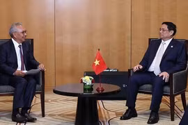 Премьер-министр Фам Минь Тьинь встречается с представителем индонезийского предприятия. (Фото: ВИА)