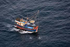 После почти шести лет принятия мер по борьбе с ННН-промыслом в попытке добиться снятия предупреждения ЕС о «желтой карточке» и трех проверок, проведенных командой, во Вьетнаме было зафиксировано множество положительных изменений. (Фото: ВИА) 