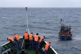 Фото для иллюстрации. (ВИА)