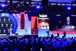 Президент Во Ван Тхыонг выступает на саммите. (Фото: ВИA)