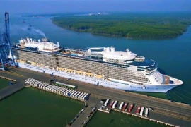 Корабль Spectrum of the Seas пришвартовался в порту Танканг - Каймеп в городе Фуми, провинция Бариа - Вунгтау. (Фото: ВИА)