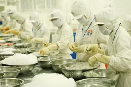 В странах Северной Европы наблюдается высокий спрос на рыбную продукцию (Фото: nhandan.vn)