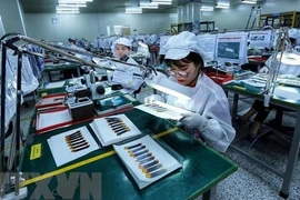 Работа предприятия в промышленном парке Йенфонг (Фото: ВИA)