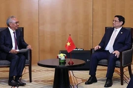 Премьер-министр Фам Минь Тьинь встречается с представителем индонезийского предприятия. (Фото: ВИА)