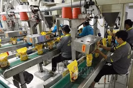 Вьетнамский экспорт сельскохозяйственной продукции в Африку в прошлом году превысил 950 млн. долл. США, составив 26,5% от общего объема экспортных поступлений страны в этот регион за счет риса и кофе. (Фото: ВИA)
