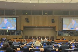 Обзор CSocD61 (Фото: ВИА) 