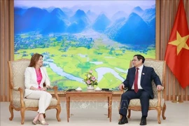 Премьер-министр Фам Минь Тьинь (справа) устраивает прием в Ханое 23 мая для заместителя премьер-министра и министра иностранных и европейских дел Словении Тани Файон. (Фото: ВИА) 