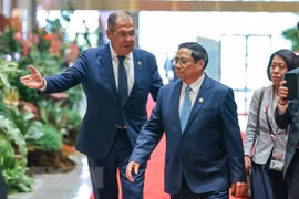 Премьер-министр Фам Минь Тьинь и министр иностранных дел России Сергей Лавров. (Фото: Зыонг Жанг/ВИА)