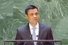 Посол Данг Хоанг Жанг, постоянный представитель Вьетнама при Организации Объединенных Наций (ООН). (Фото: ВИA)