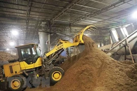 На заводе по переработке древесных пеллет в Тайнгуене (Фото: ВИA)