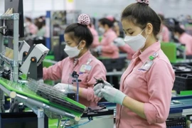 Около 250 корейских предприятий, работающих в регионе, продемонстрировали высокий уровень удовлетворенности местной деловой средой. (Фото: ВИА)