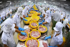 Морепродукты – один из сильных продуктов Вьетнама на рынке CPTPP. (Фото: ВИА)